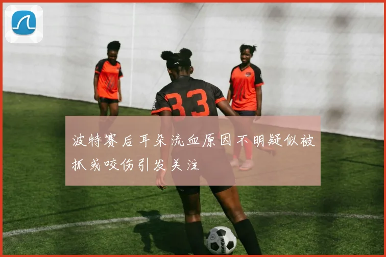 波特赛后耳朵流血原因不明疑似被抓或咬伤引发关注